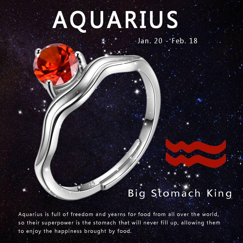 AQUARIUS ZODIAC CONSTELLATION RING – JewelrybyDali